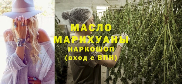 индика Касимов