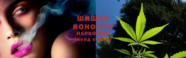 индика Касимов