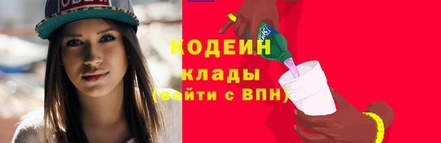индика Касимов