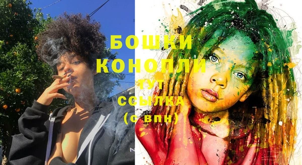 индика Касимов