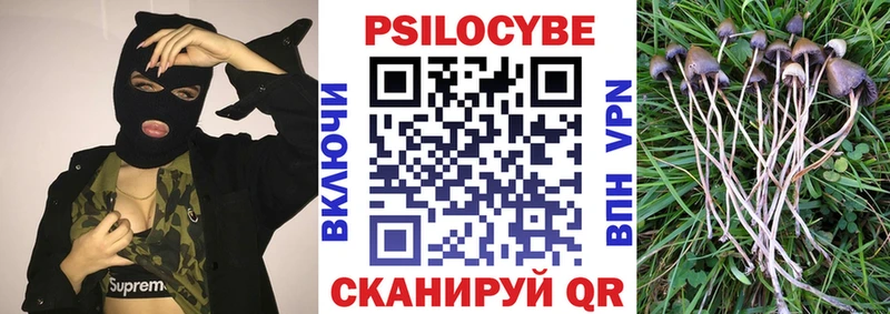 Псилоцибиновые грибы Psilocybine cubensis  даркнет клад  Любань 